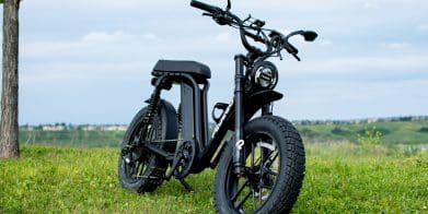 2024 pedego moto