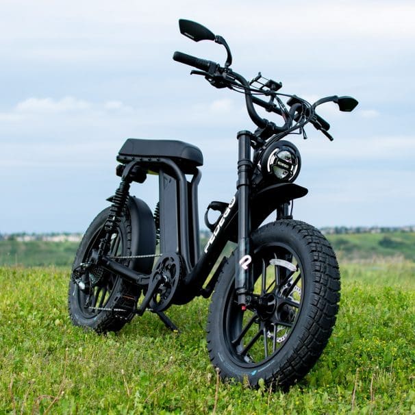 2024 pedego moto