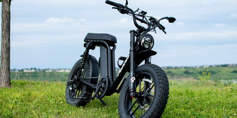 2024 pedego moto