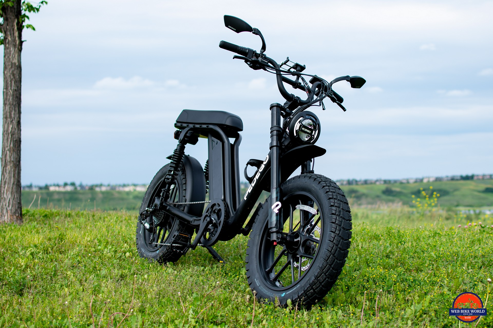 Pedego e bike reviews sales